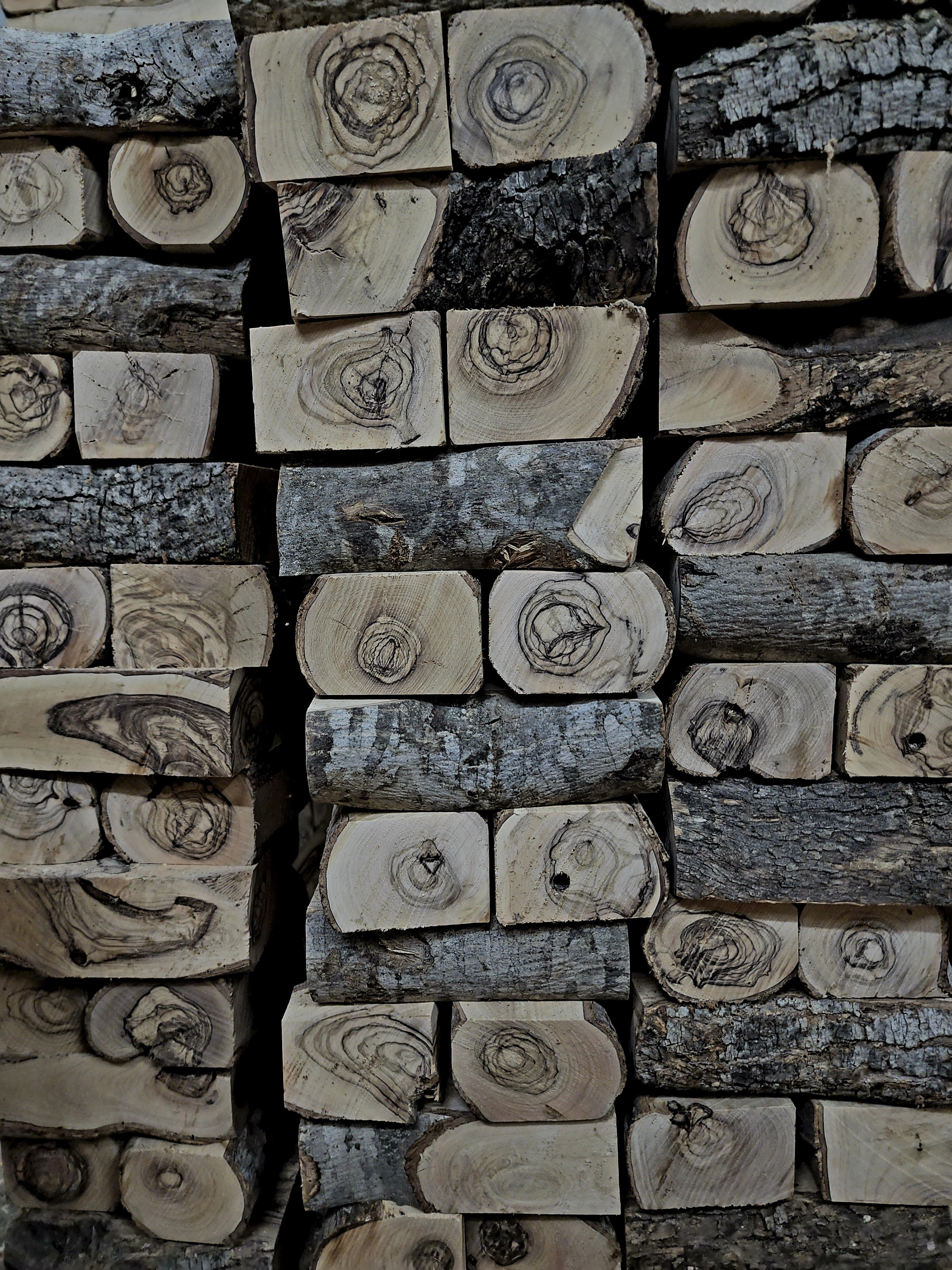 Discover the Beauty of Olive Wood from Bethlehem: A Time-Honored Tradition from Palestinian Artisans