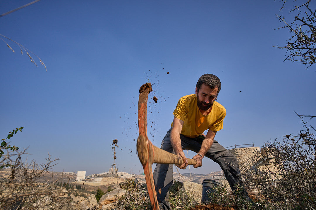 Some Thoughts on Food Sovereignty in Palestine