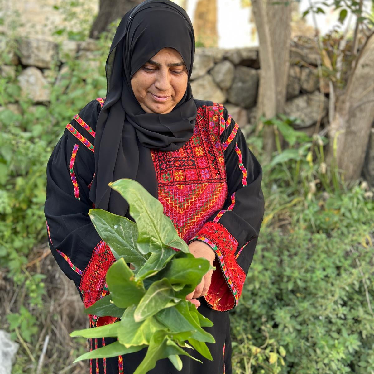 Ard Khair: Foraged Greens and the Gifts of the Land in Palestine