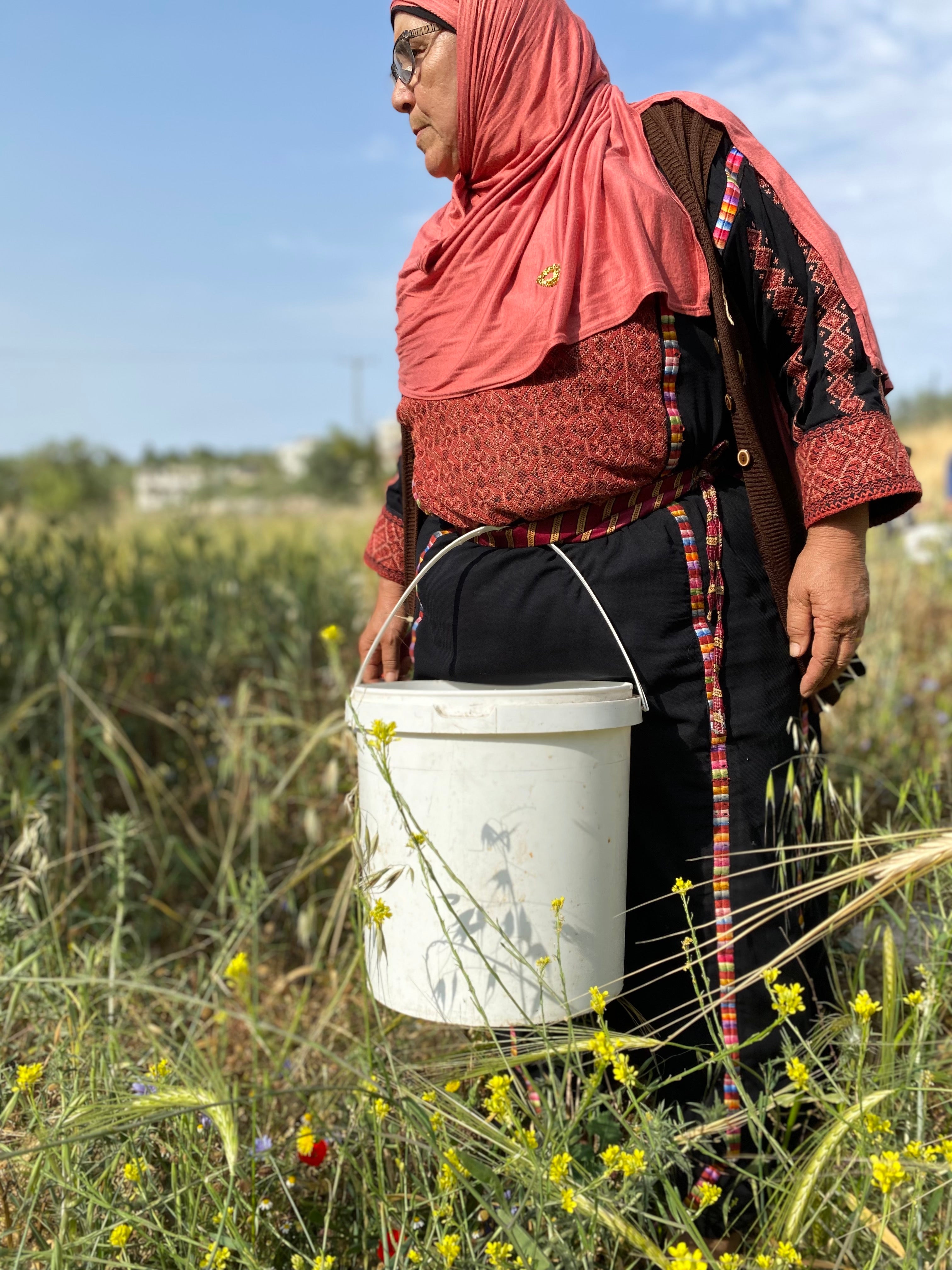 What was the Palestinian Dress, el Thob, used for?