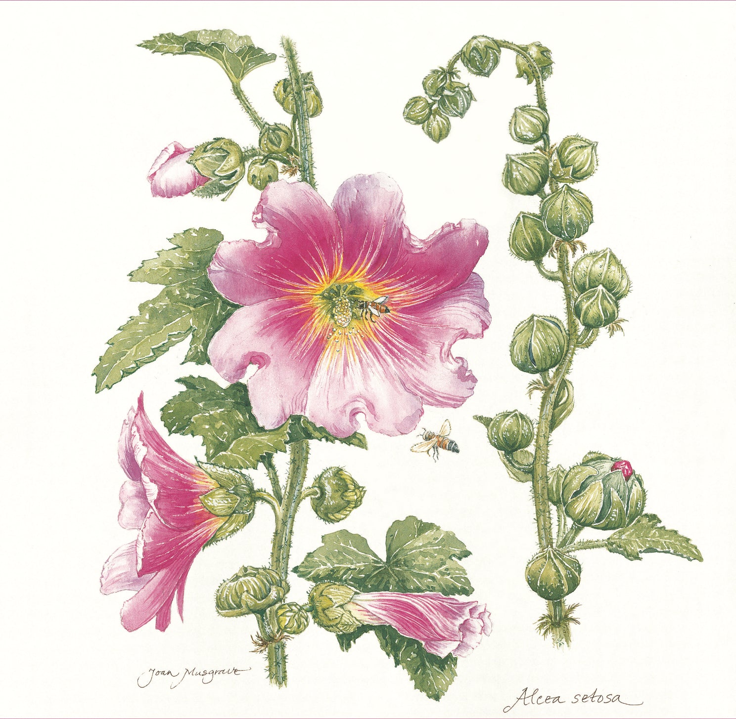 Image of a painted flower