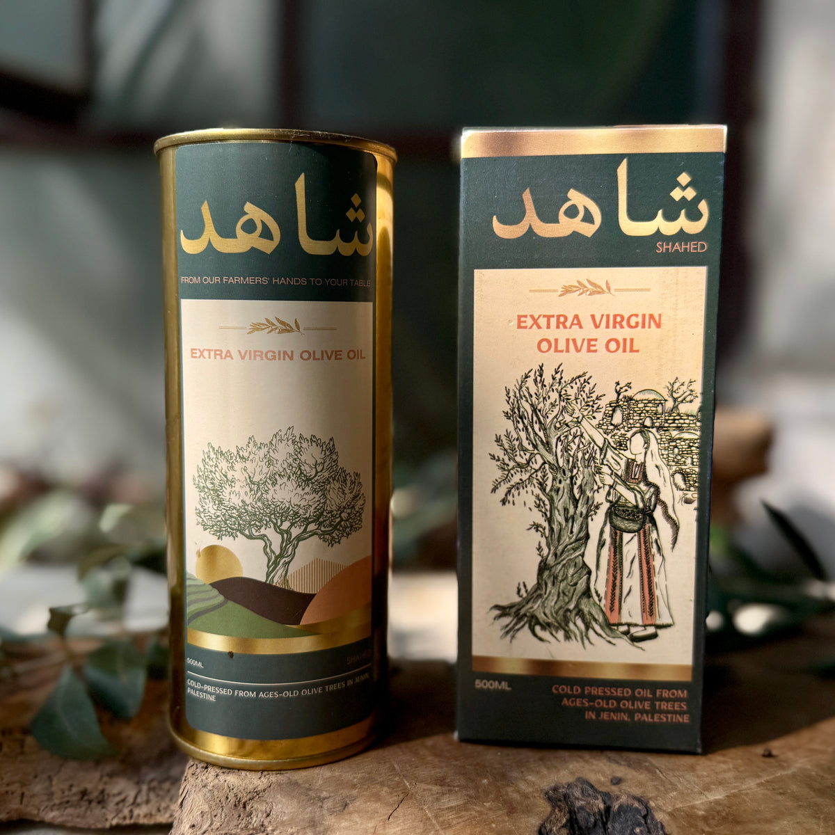 Extra Virgin Olive Oil Half Liter Tin Cold Pressed in Jenin, Palestine