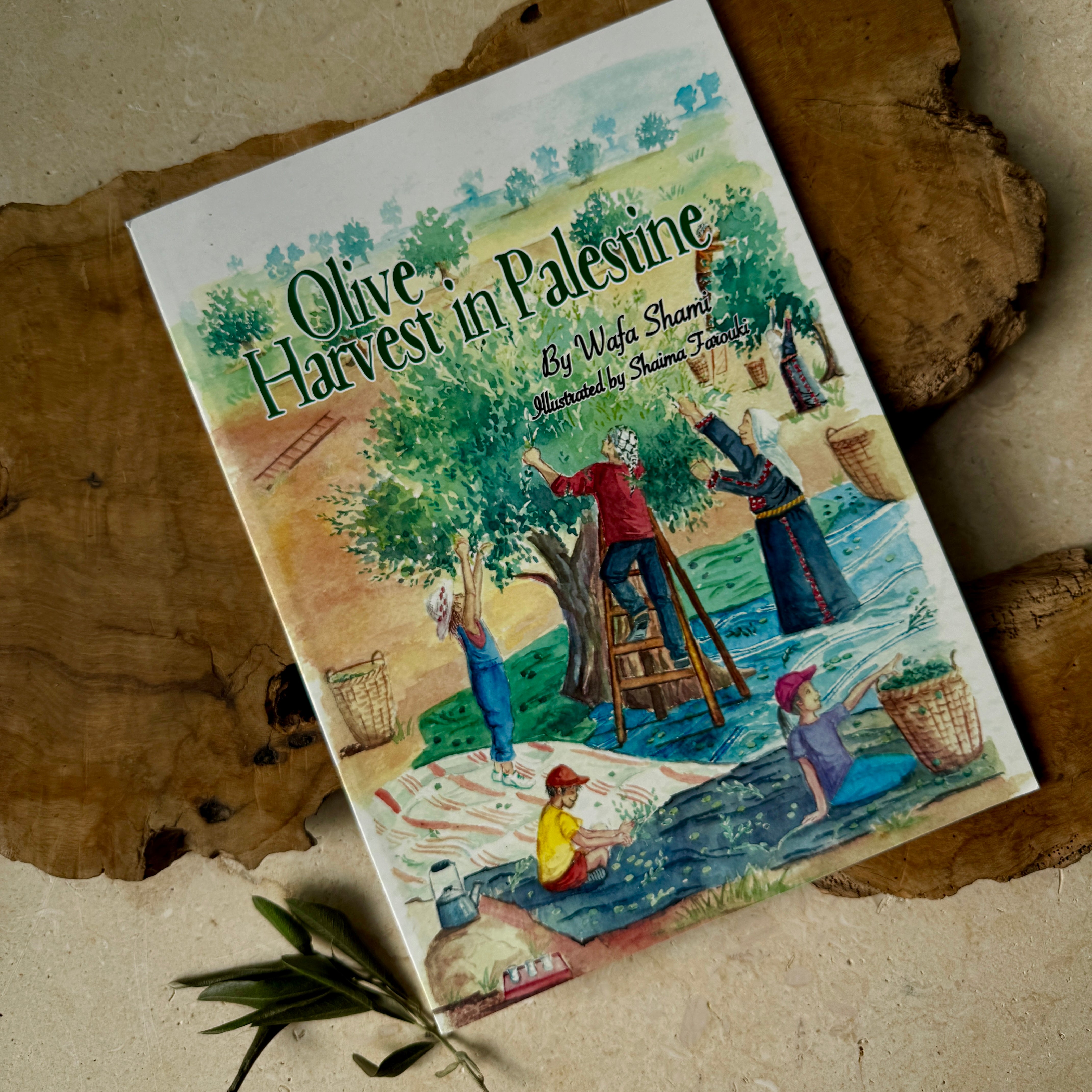 Children’s Book - Olive Harvest in Palestine