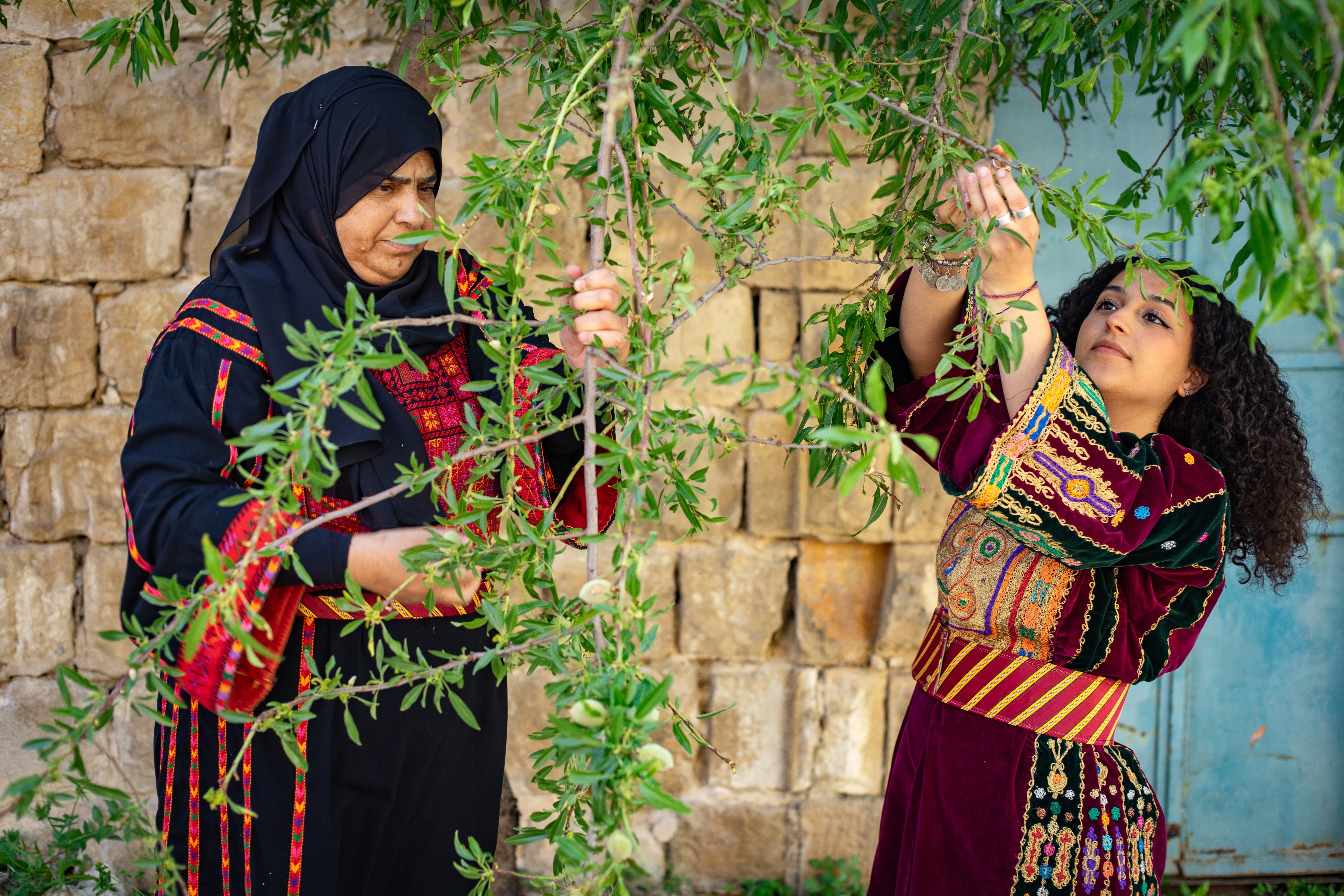 The Thob: A Living Thread of Palestinian History