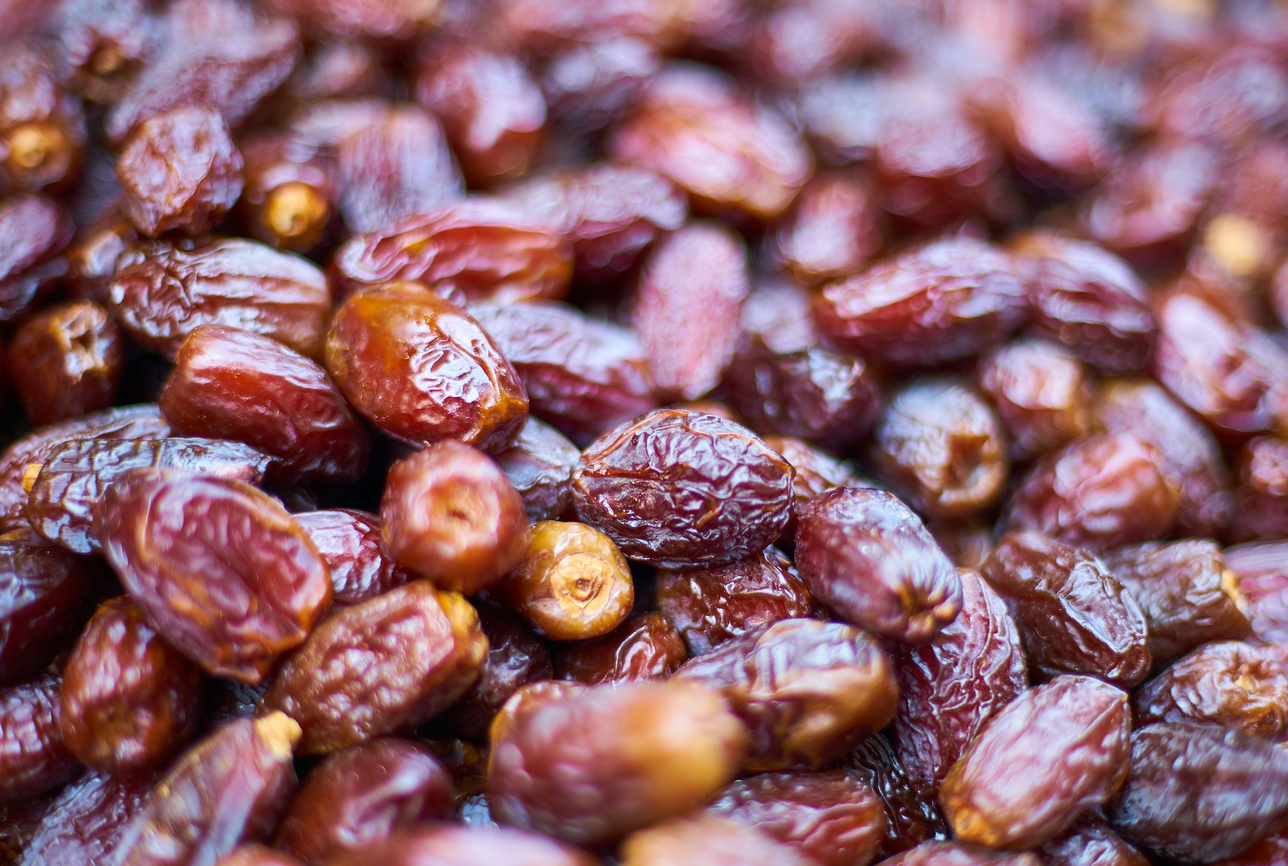 Palestinian Medjool Dates