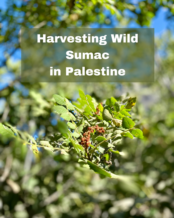 Discover the Bold, Tangy World of Sumac