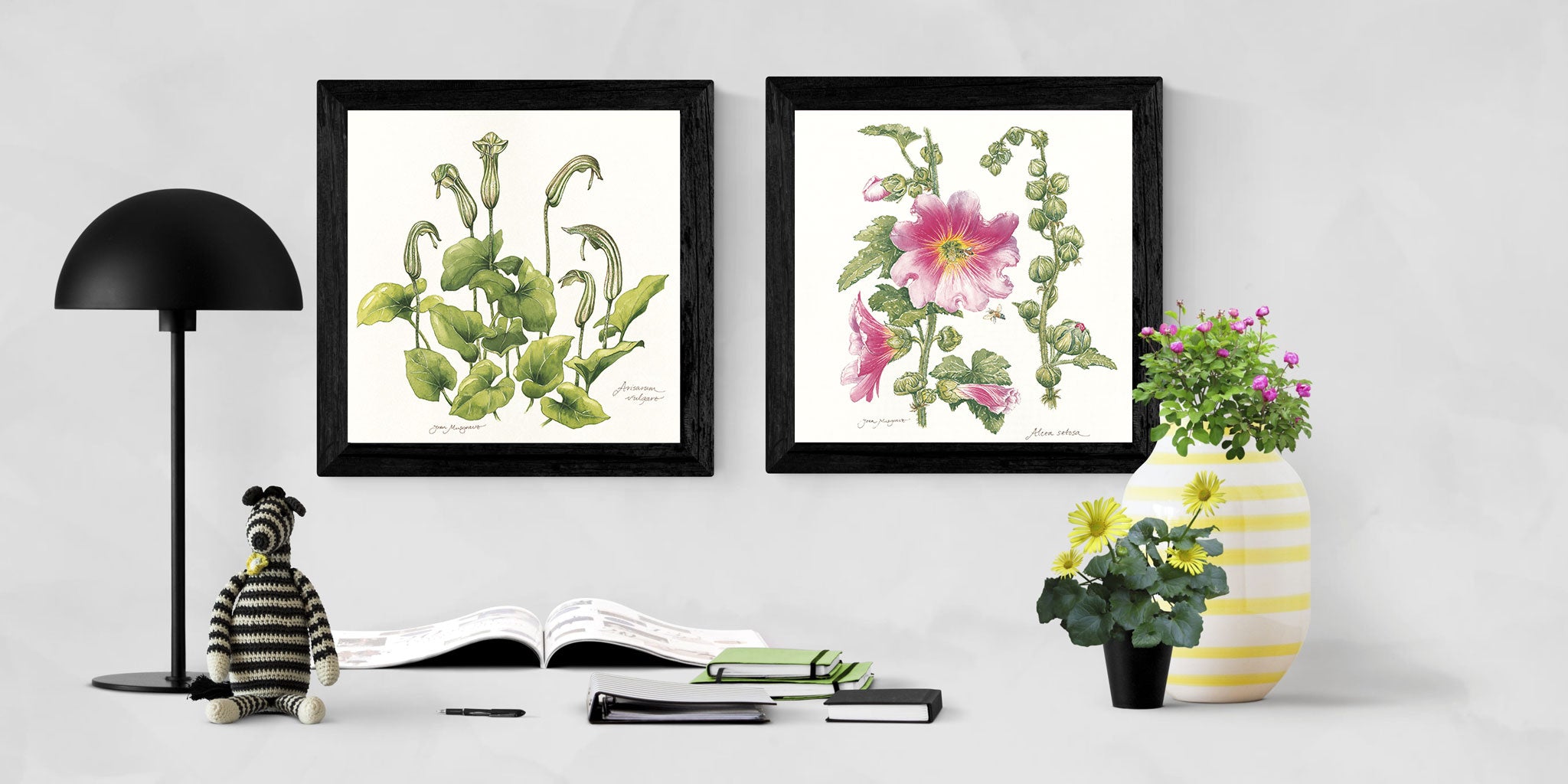 Botanical Art - Wildflower Prints from Palestine