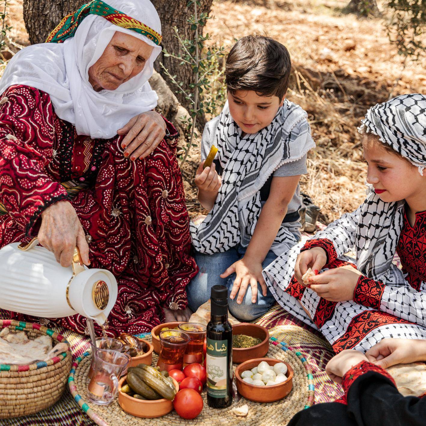Extra Virgin Olive Oil Half Liter Tin Cold Pressed in Jenin, Palestine