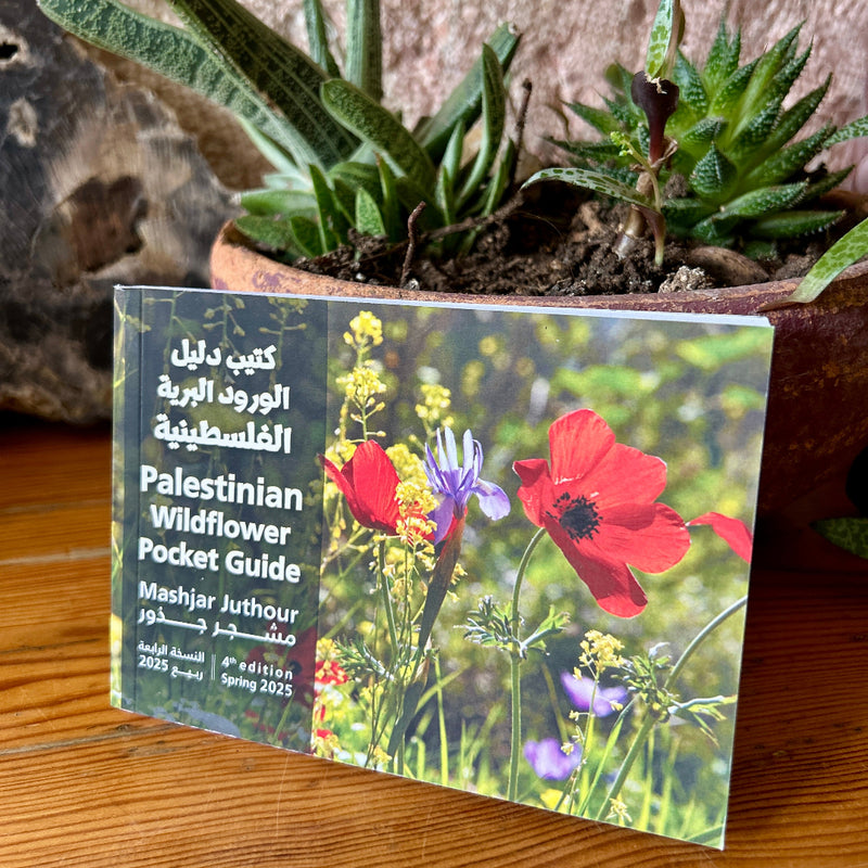 Palestinian Wildflower Pocket Guide [Free Download Available]