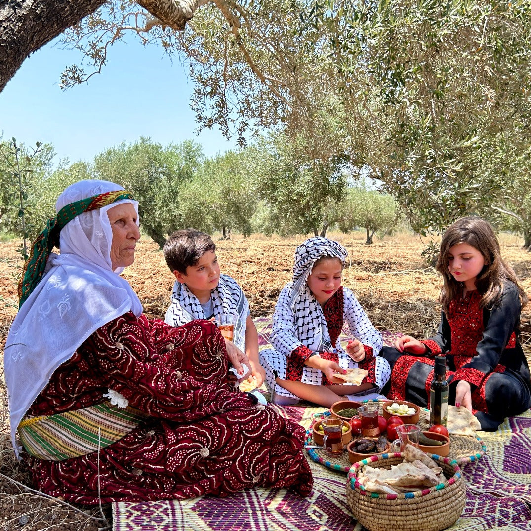 Extra Virgin Olive Oil Half Liter Tin Cold Pressed in Jenin, Palestine