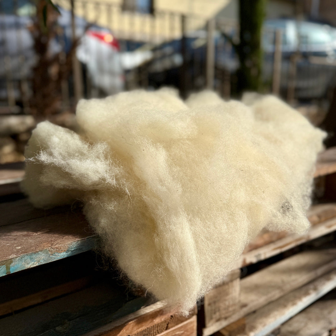 All Natural Palestinian Wool: Carded Batts from Palestinian Shepherds