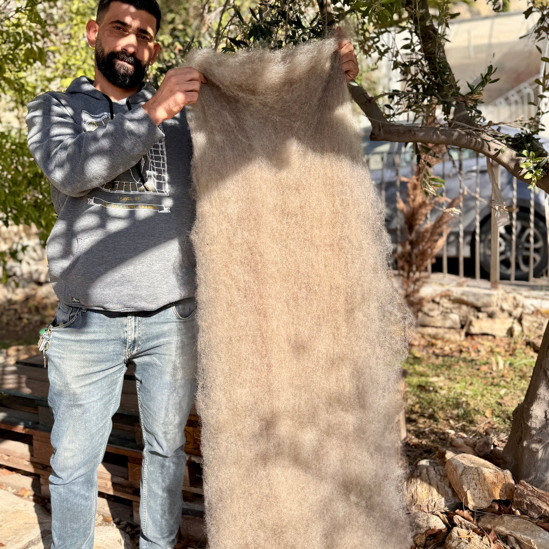All Natural Palestinian Wool: Carded Batts from Palestinian Shepherds