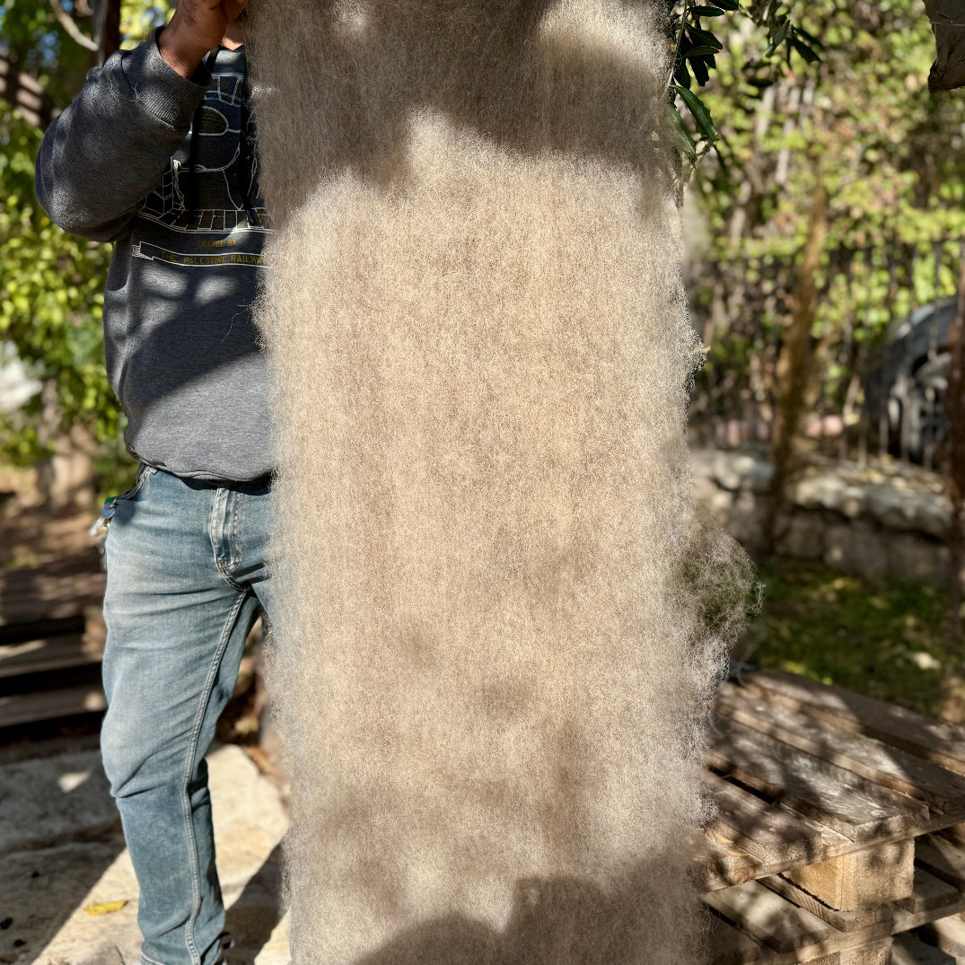 All Natural Palestinian Wool: Carded Batts from Palestinian Shepherds