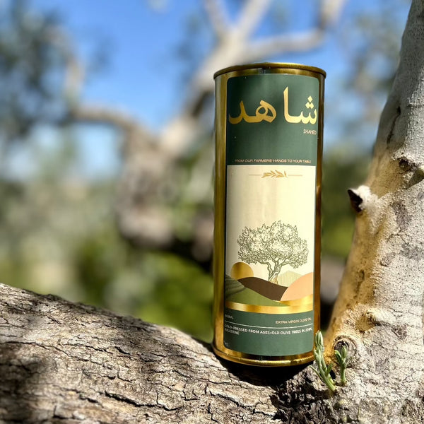 Extra Virgin Olive Oil Half Liter Tin Cold Pressed in Jenin, Palestine