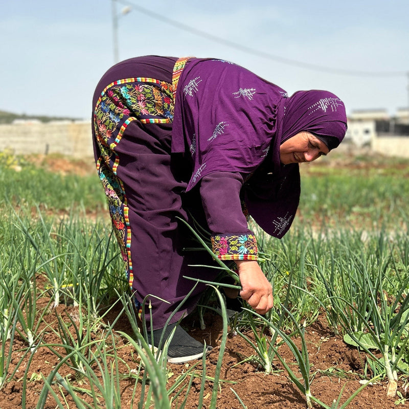 Donate and Support Our Project to Help Women in Palestine Sustain Their Livelihoods