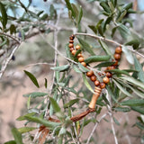 Olive Wood - Olive Wood Prayer Beads From Bethlehem