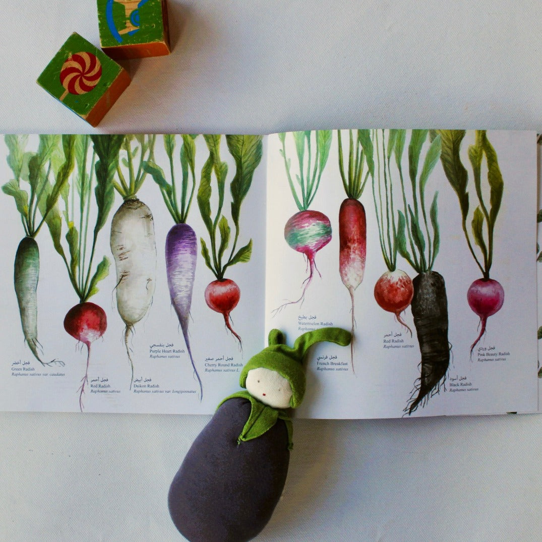 Paper, Cards & Books - Arabic Children's Book From Palestine: The Shy Radish | الِفْجلُة َخجوَلٌة