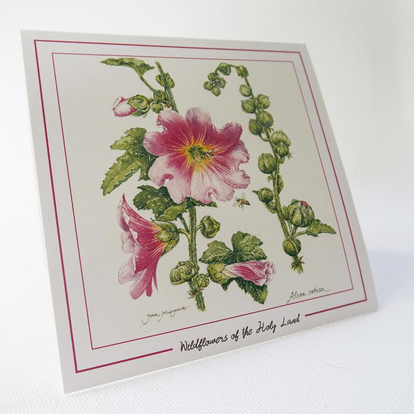 Botanical Art - Wildflower Art - Botanical Art Print - Alcea Setosa
