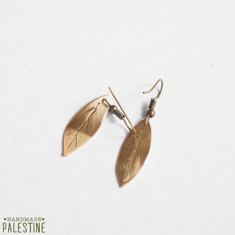 Brass Jewelry - Olive Leaf Earrings In Brass